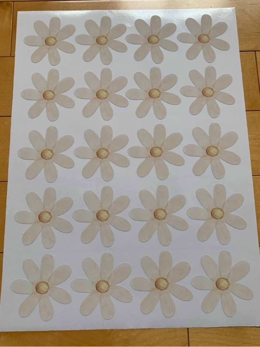 ☀️SUMMER CLEARANCE ITEM☀️2 Sheets of daisy flower wall decals (40 flowers)
NWT